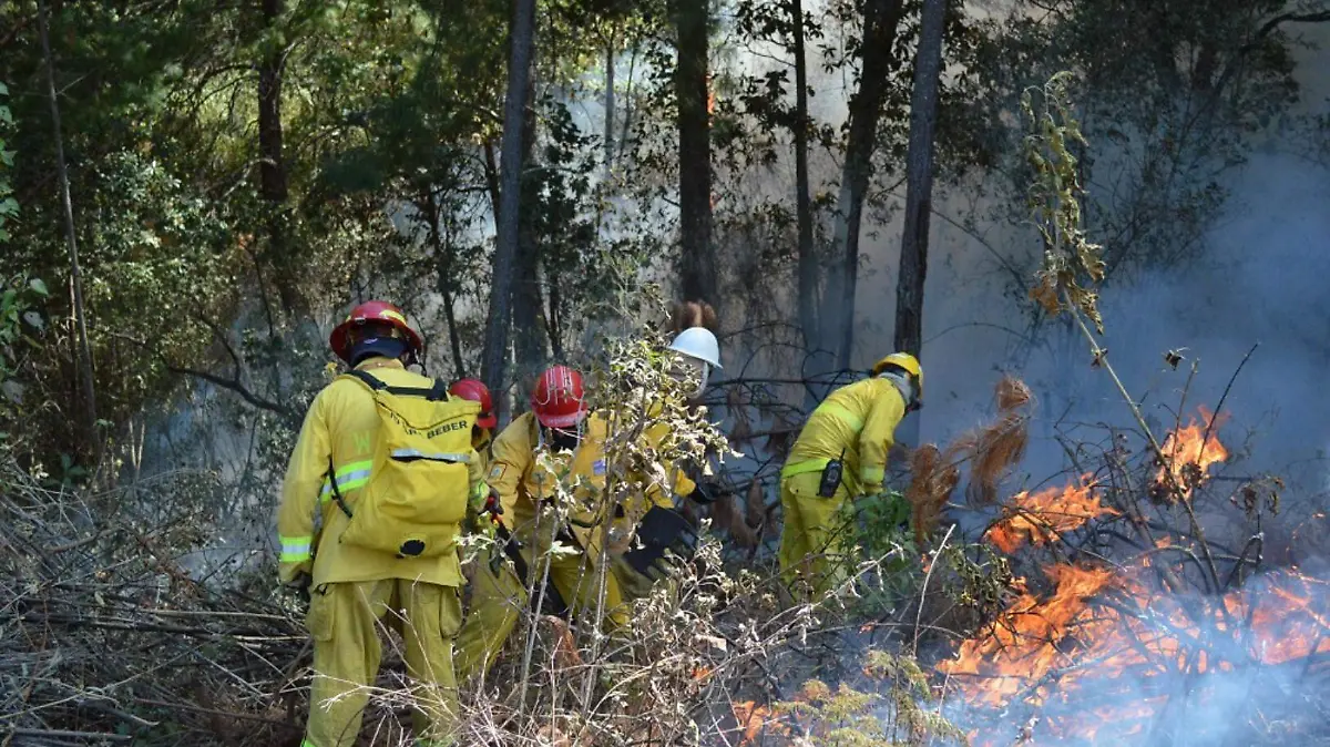 MORELIA4 PCE llama a prevenir incendios forestales 2